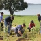 A group of people planting trees on Motutapu Island