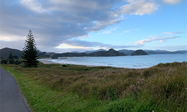 Great Barrier Island is a simpler world