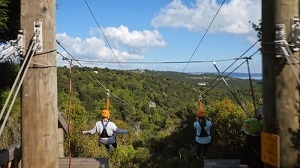 two people riding a EcoZip zipliner a tourism adventure in Auckland