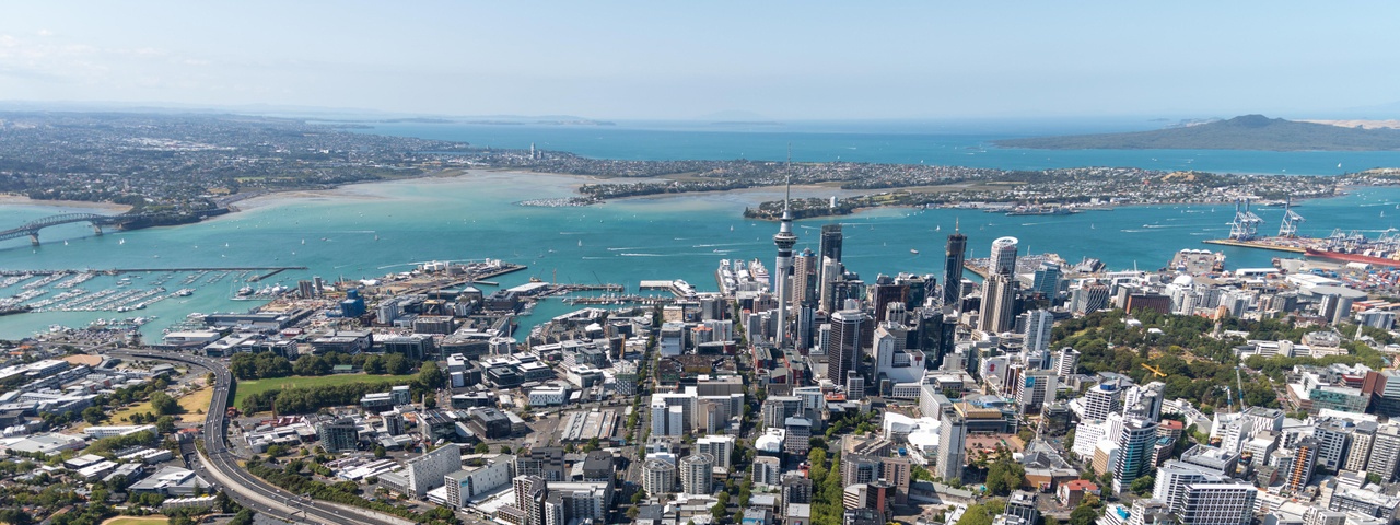 View of Auckland City from above