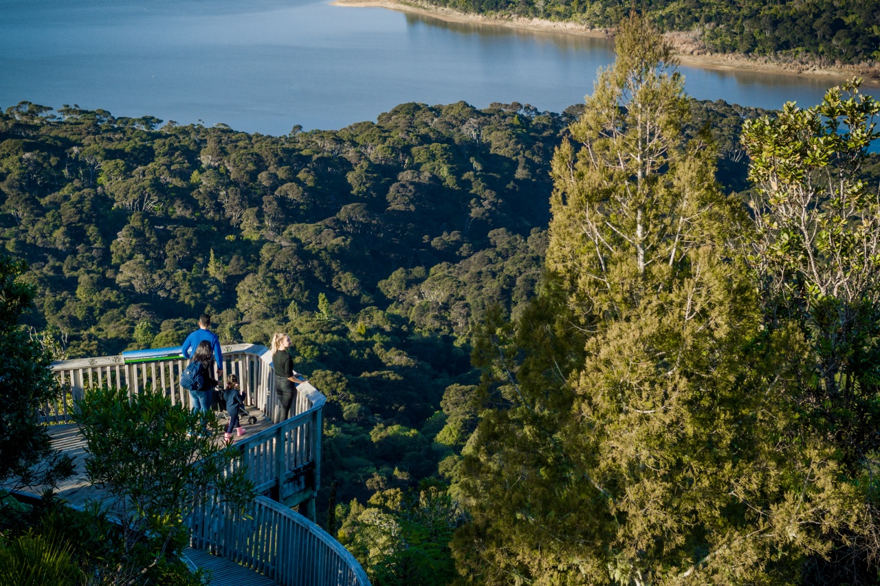 People at a viewpoint looking out to the Waitakere Ranges In Auckland