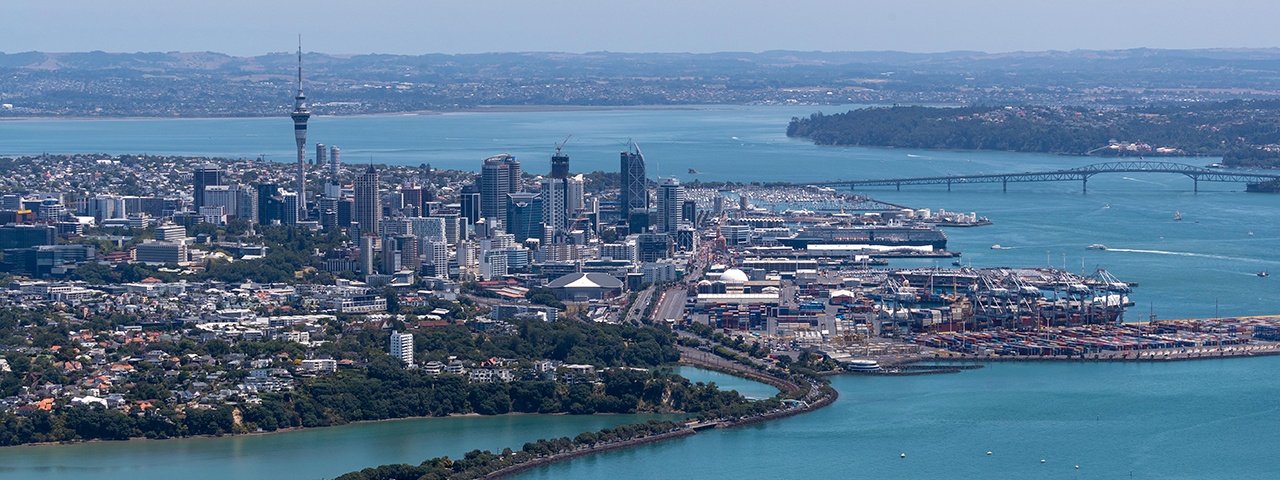 Large volume of housing is being developed in Auckland