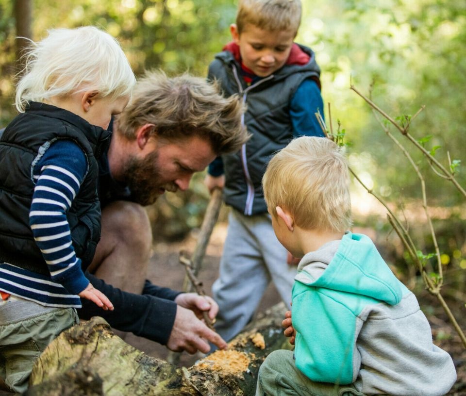 Tech Auckland - Culture - Father and kids searching for huhu grub insects