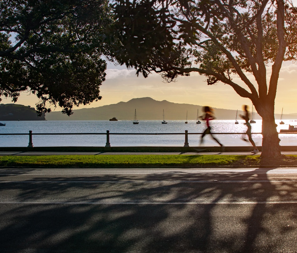 joggers, running along Auckland waterfront with Rangitoto island in the background