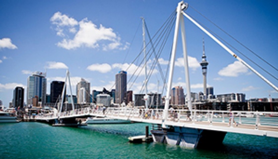 Learn how to invest in Auckland Tourism industry