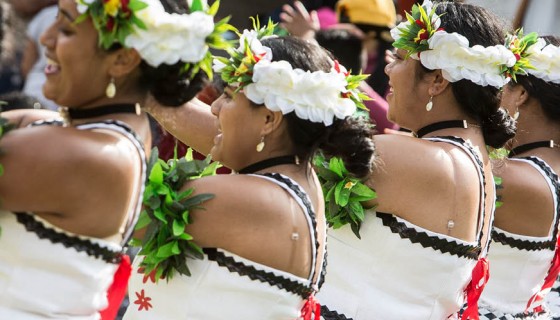 Pasifika festival 2018
