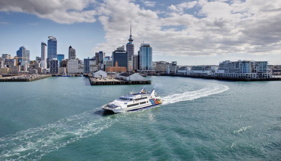 View of Auckland city